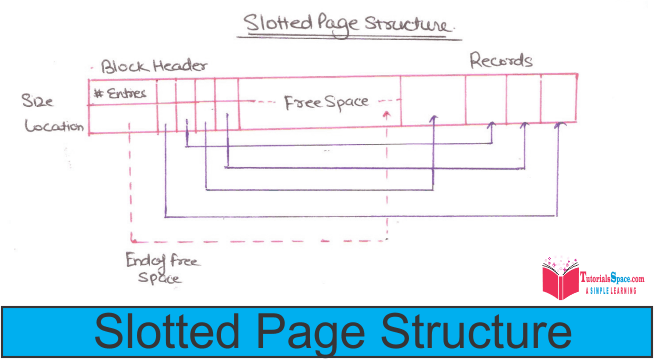 Slotted_Page Slotted Page